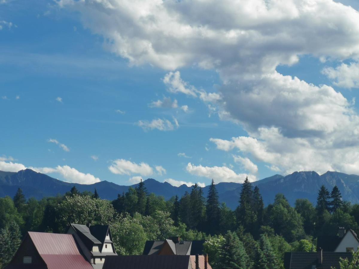 Pokoje Skalnica Poronin Buitenkant foto